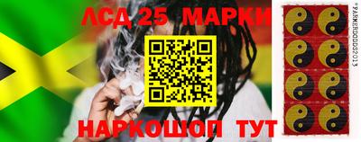 стаф Заводоуковск