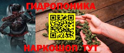 стаф Заводоуковск