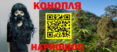 стаф Заводоуковск