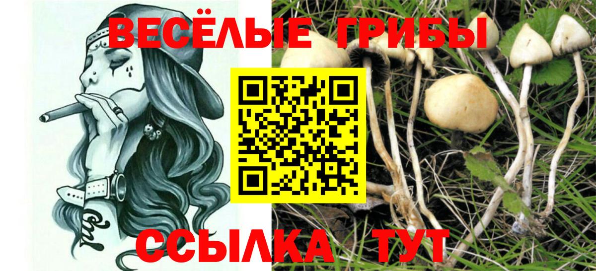Галлюциногенные грибы Cubensis  Вход с VPN  Можайск 